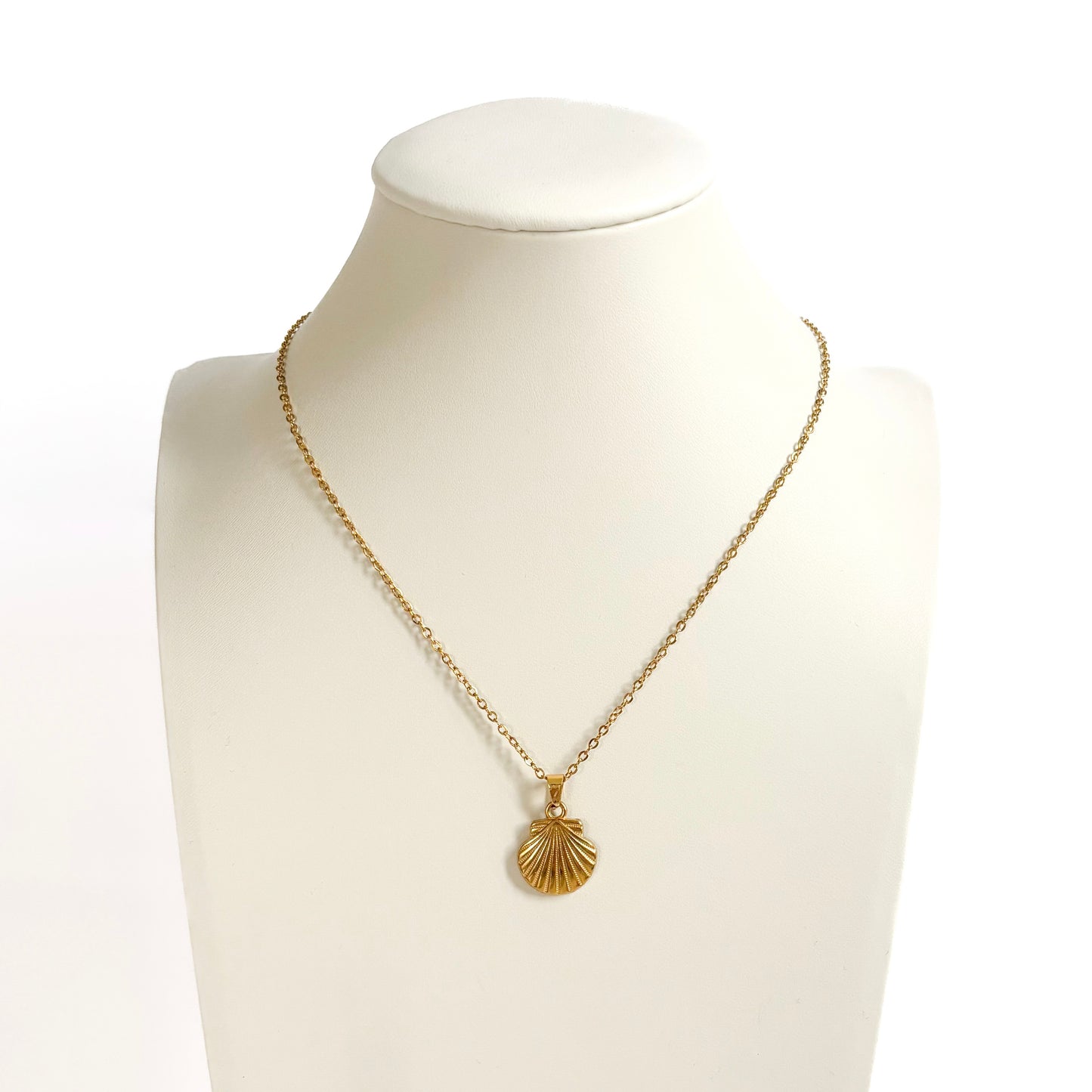 Collier Coquillage