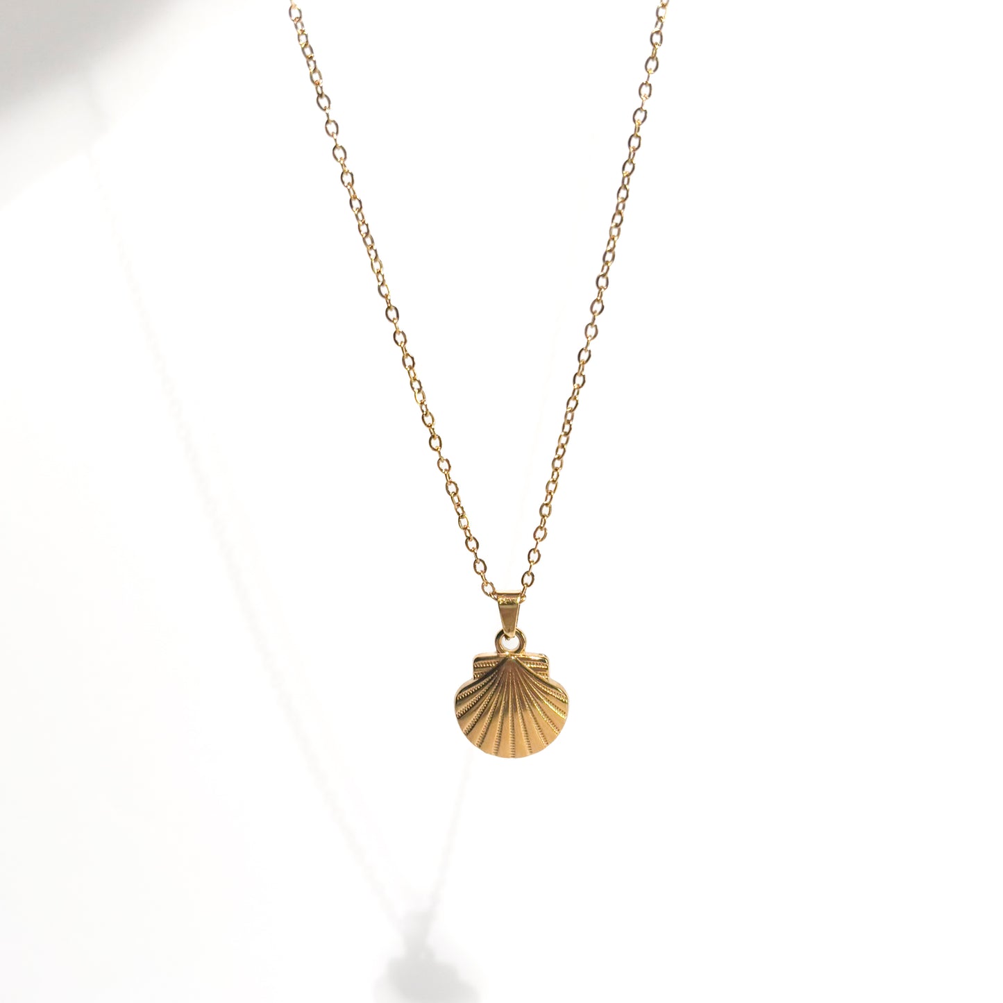 Collier Coquillage